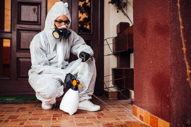 Reliable Cockroach Control contractor in Storrs, CT by Nex Pest Control