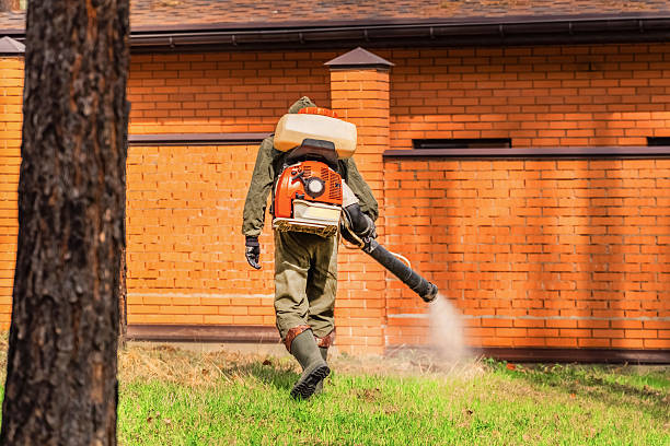 Trusted Cockroach Control service in Storrs, CT - Nex Pest Control